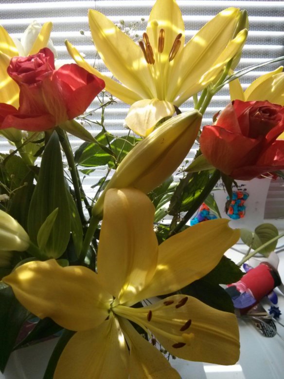 wp-1394358875395.jpg image